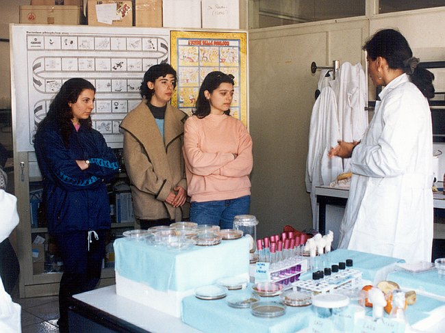 Archivio fotografico 1995-2004