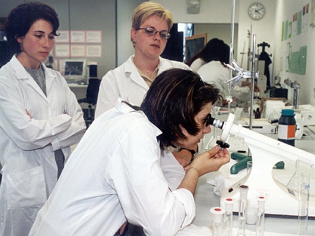 Archivio fotografico 1995-2004