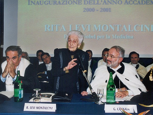 Archivio fotografico 1995-2004