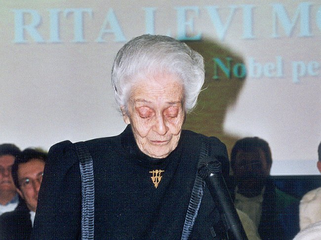 Archivio fotografico 1995-2004