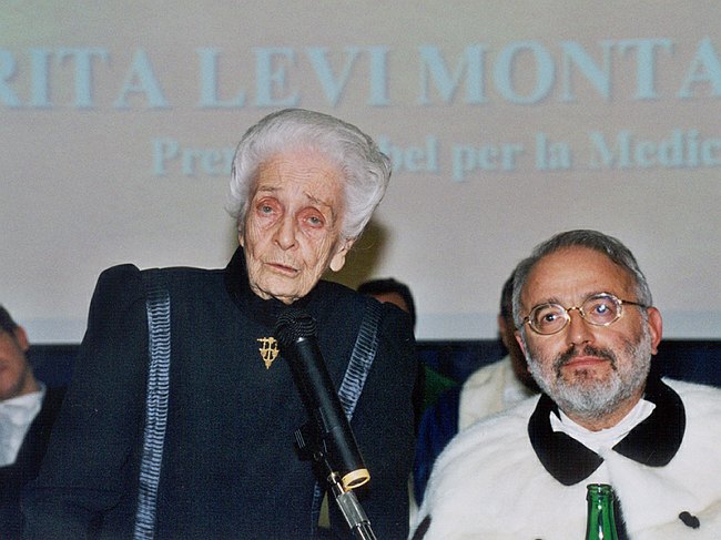 Archivio fotografico 1995-2004