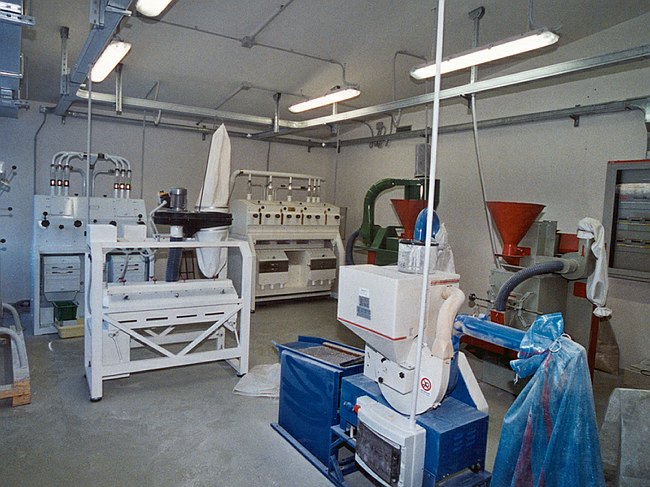 Archivio fotografico 1995-2004