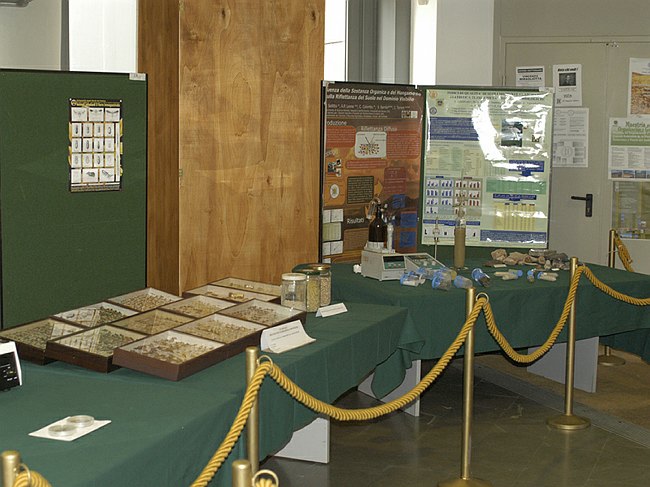 Archivio fotografico 1995-2004