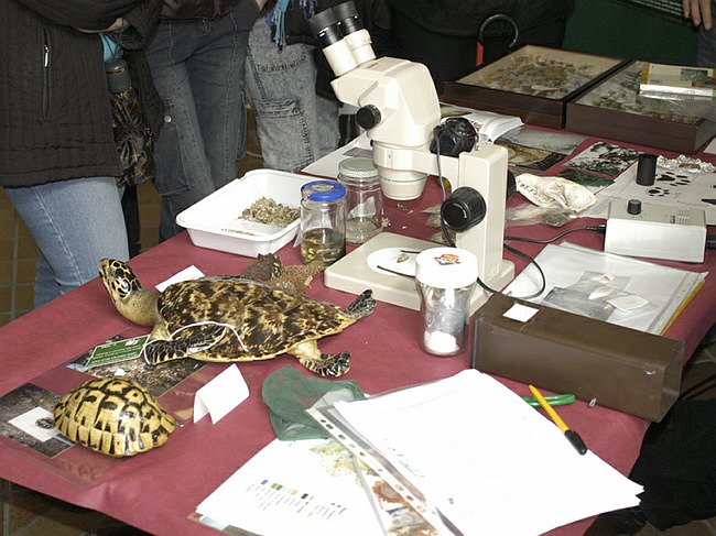 Archivio fotografico 1995-2004