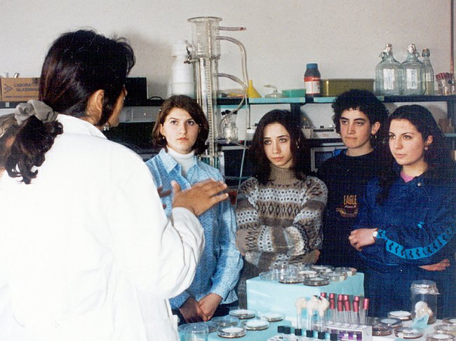 Archivio fotografico 1995-2004