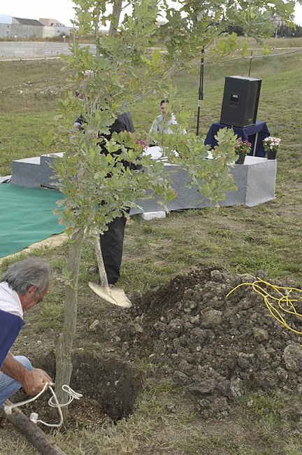Cerimonia commemorativa in memoria delle vittime del terrorismo