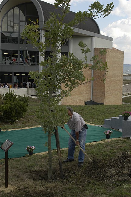 Cerimonia commemorativa in memoria delle vittime del terrorismo