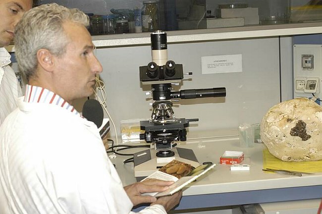 Maxi-fungo - Langermannia gigantea