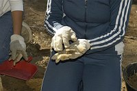 Corso di laurea in Scienze dei Beni Culturali e Ambientali Cattedra di Metodologia dello scavo archeologico