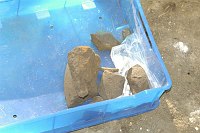 Corso di laurea in Scienze dei Beni Culturali e Ambientali Cattedra di Metodologia dello scavo archeologico