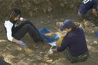 Corso di laurea in Scienze dei Beni Culturali e Ambientali Cattedra di Metodologia dello scavo archeologico