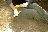 Corso di laurea in Scienze dei Beni Culturali e Ambientali Cattedra di Metodologia dello scavo archeologico