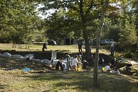 Corso di laurea in Scienze dei Beni Culturali e Ambientali Cattedra di Metodologia dello scavo archeologico