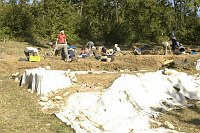 Corso di laurea in Scienze dei Beni Culturali e Ambientali Cattedra di Metodologia dello scavo archeologico