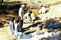 Corso di laurea in Scienze dei Beni Culturali e Ambientali Cattedra di Metodologia dello scavo archeologico