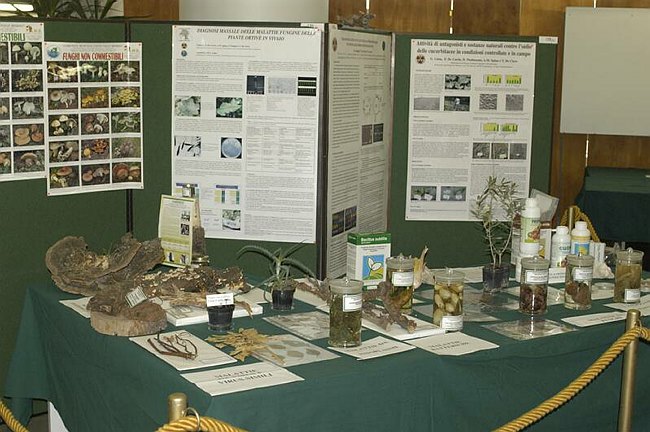 XIV Settimana della Cultura Scientifica e Tecnologica