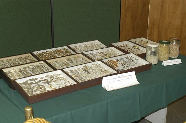 XIV Settimana della Cultura Scientifica e Tecnologica