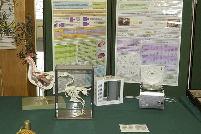 XIV Settimana della Cultura Scientifica e Tecnologica