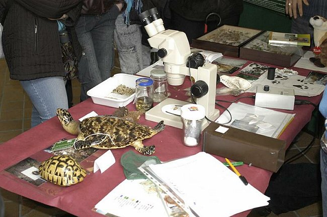 XIV Settimana della Cultura Scientifica e Tecnologica