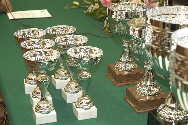 XIV Settimana della Cultura Scientifica e Tecnologica