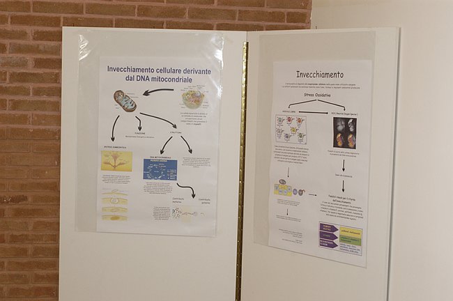 XIV Settimana della Cultura Scientifica e Tecnologica