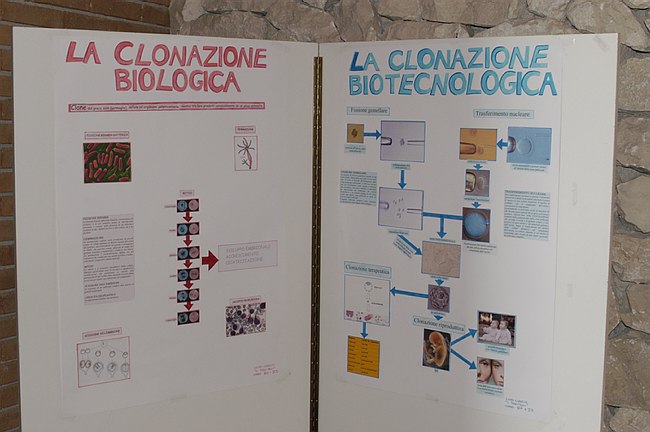 XIV Settimana della Cultura Scientifica e Tecnologica