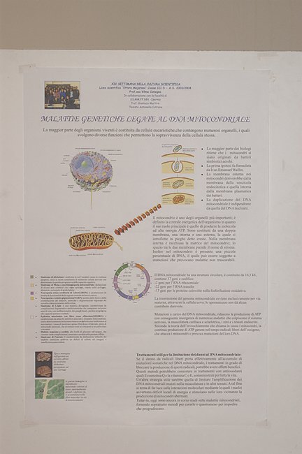 XIV Settimana della Cultura Scientifica e Tecnologica