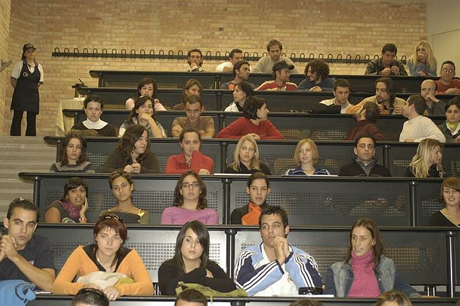 Erasmus 2005/2006