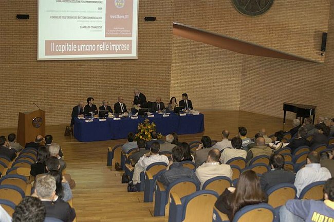 Il Capitale Umano nelle Imprese