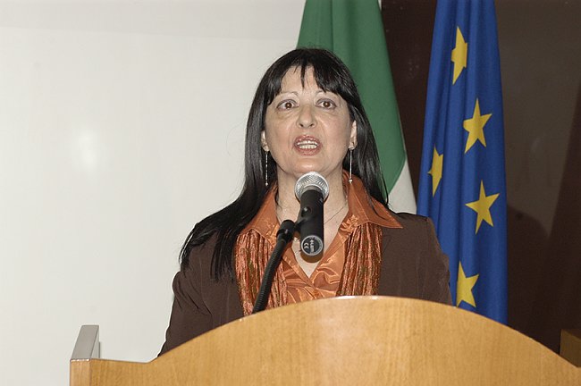 L'Unione Europea: una solidariet� senza confini