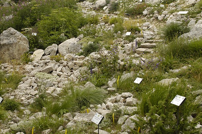 Presentazione del Giardino della Flora Appenninica di Capracotta