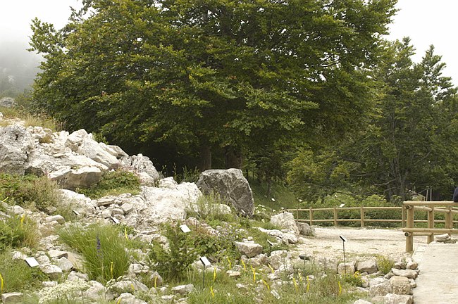 Presentazione del Giardino della Flora Appenninica di Capracotta