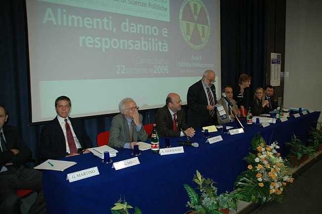 Alimenti, danno e responsabilit�
