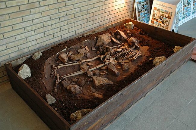 Conferenza Internazionale