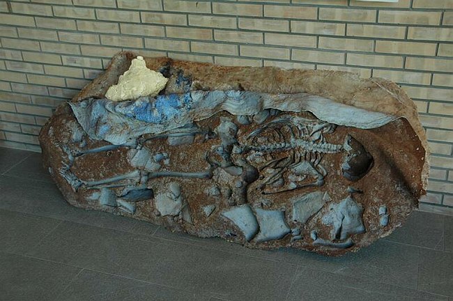 Conferenza Internazionale