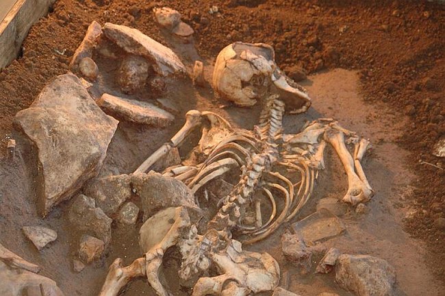 Conferenza Internazionale