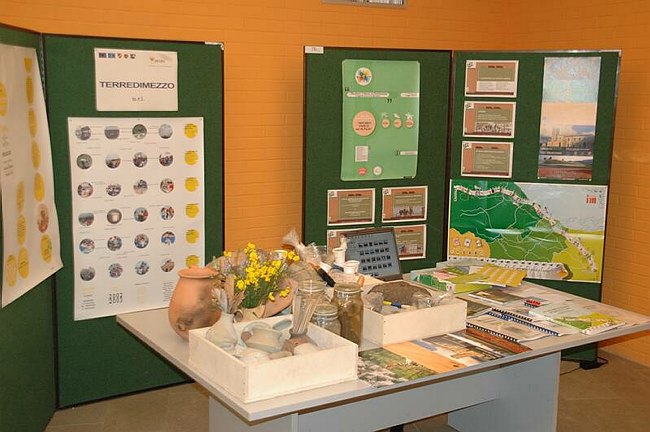 Conferenza Internazionale