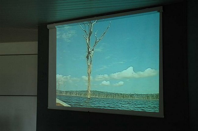 Convegno: Impresa e ambiente