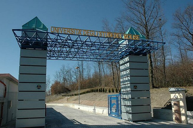 Facolt� di Medicina e Chirurgia