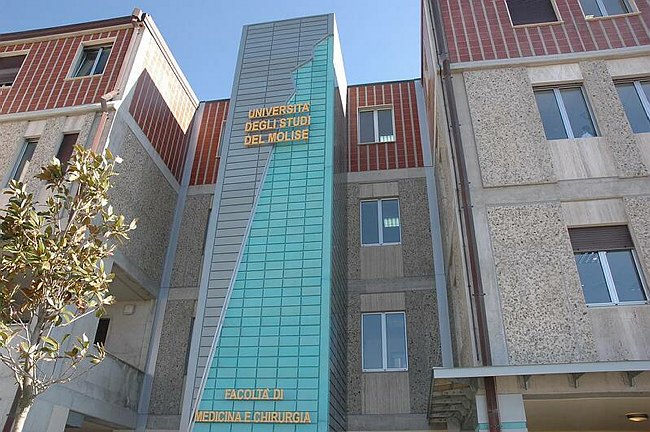 Facolt� di Medicina e Chirurgia