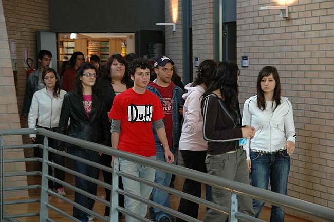 Mostra di Silvano Tessarollo: Topi di Biblioteca