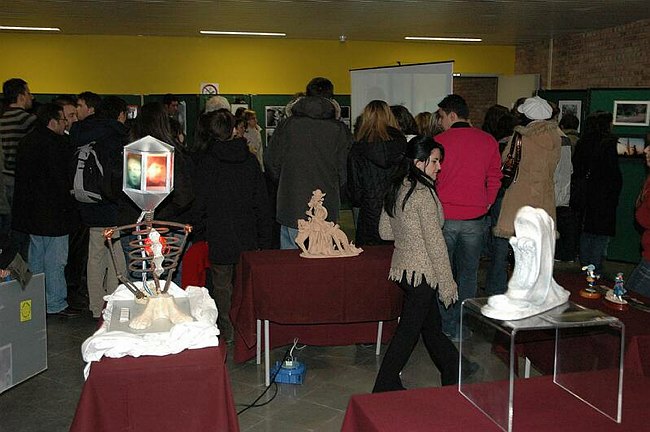 Mostra - Universit� Arte