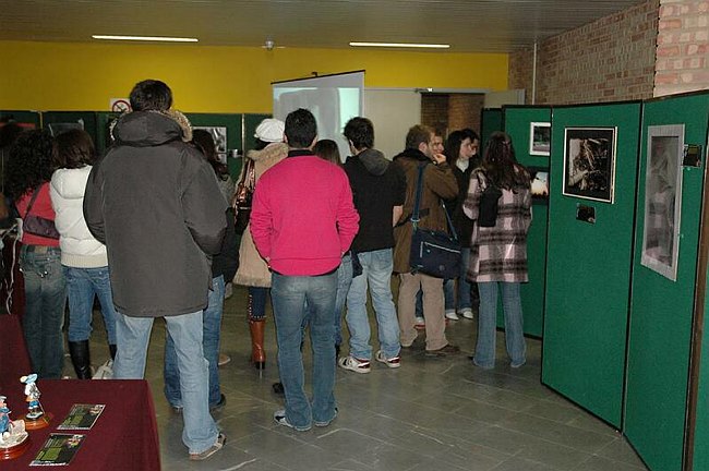 Mostra - Universit� Arte