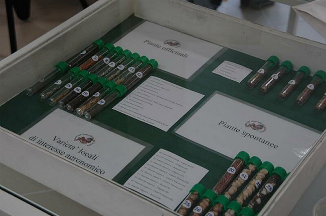 Cerimonia di inaugurazione del Museo dell�Erbario 