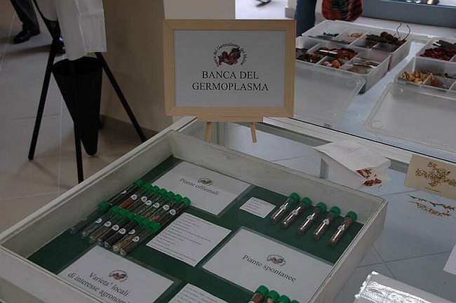 Cerimonia di inaugurazione del Museo dell�Erbario 