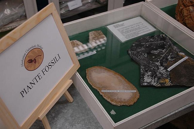 Cerimonia di inaugurazione del Museo dell�Erbario 