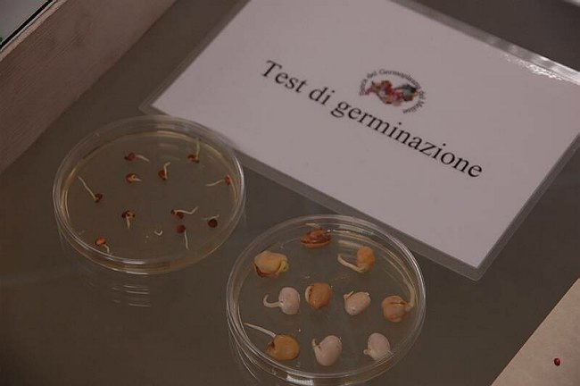 Cerimonia di inaugurazione del Museo dell�Erbario 