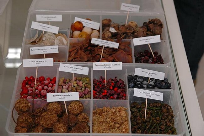 Cerimonia di inaugurazione del Museo dell�Erbario 