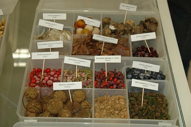Cerimonia di inaugurazione del Museo dell�Erbario 
