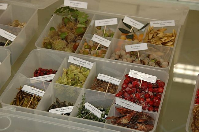 Cerimonia di inaugurazione del Museo dell�Erbario 